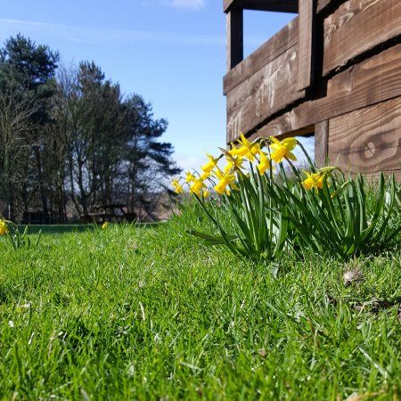 Bulwell Forest Garden